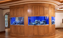 Shaker 3/4&quot; (831) Living Area with Radius Fish Tank - 10199